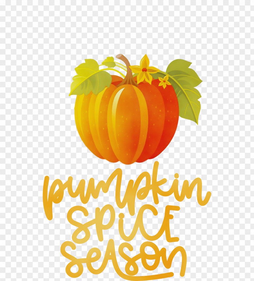 Winter Squash Calabaza Squash Natural Food Logo PNG