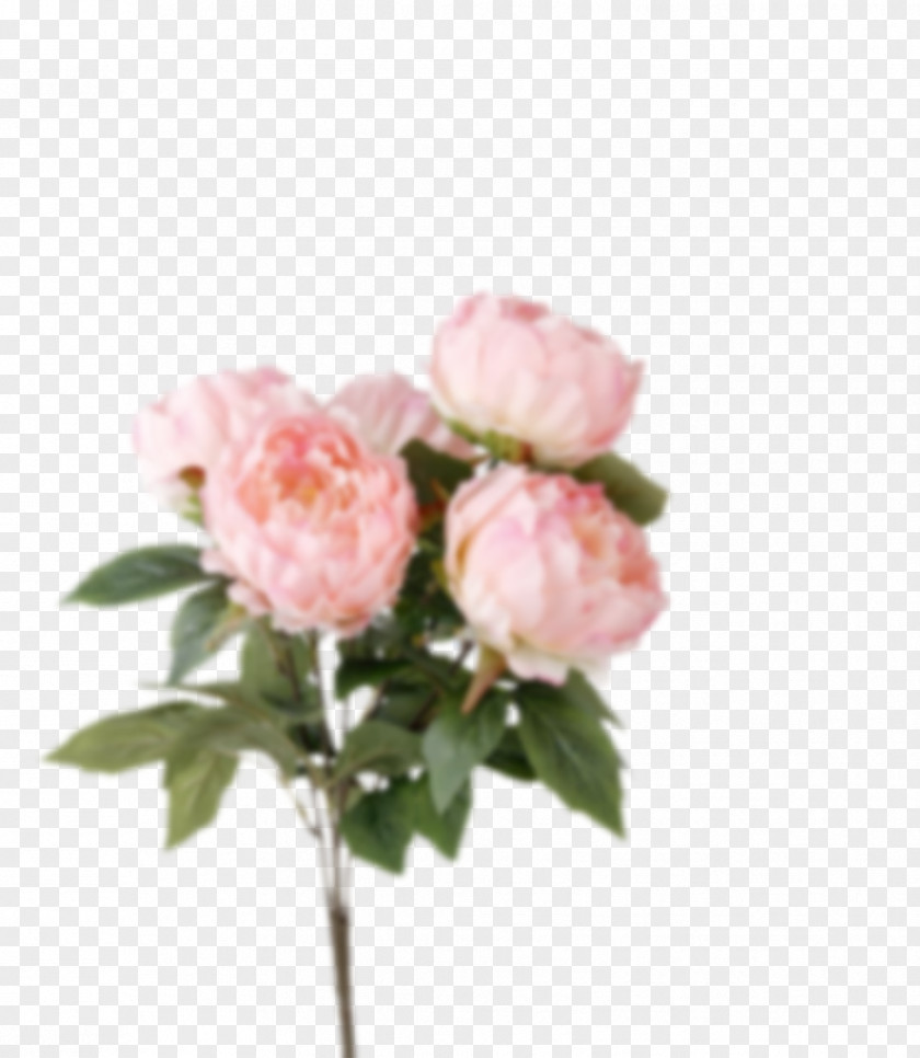 Flower Garden Roses Bouquet Artificial Cabbage Rose PNG