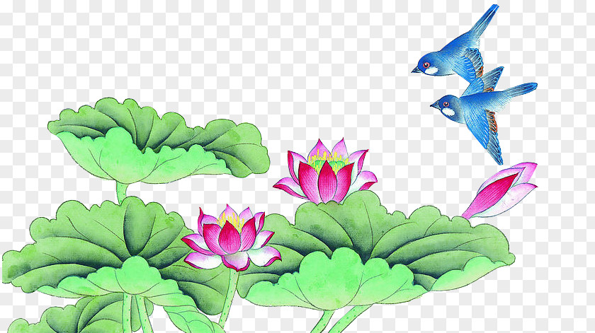 Lotus China Budaya Tionghoa Bird-and-flower Painting Chinese Gongbi PNG