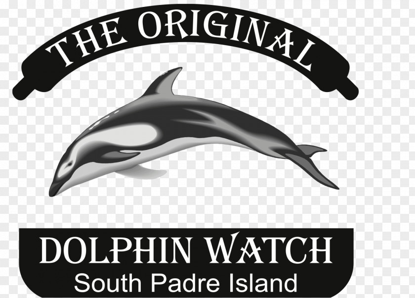 The Original Dolphin Watch South Padre Island, Texas BoulevardDolphin American Diving PNG