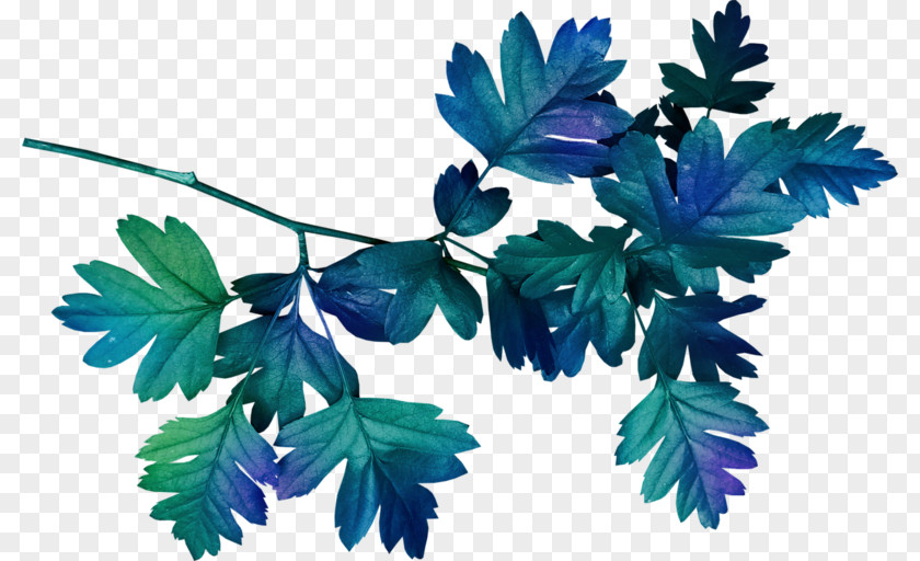 Blue Leaves Border Leaf Clip Art PNG