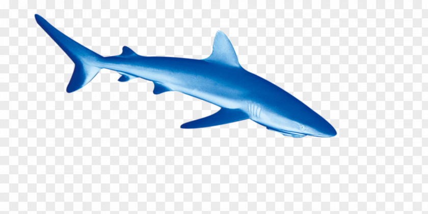 Dolphin Tiger Shark Deep Sea Fish Euclidean Vector PNG