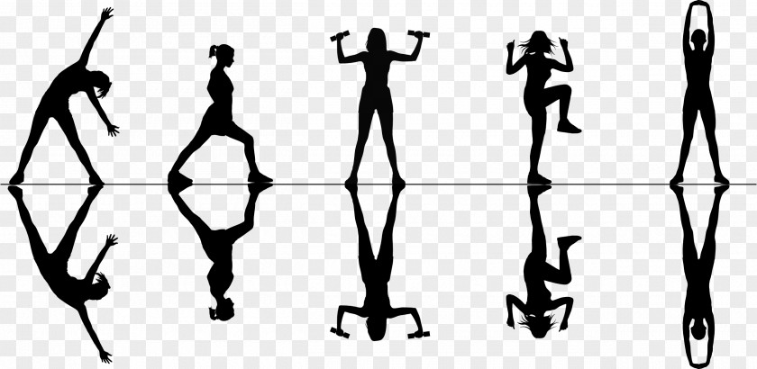 Human Leg Physical Fitness Muscle Silhouette PNG