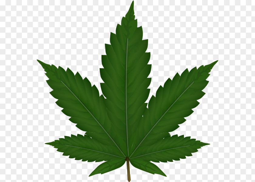 Marijuana Medical Cannabis Hemp Plant Clip Art PNG