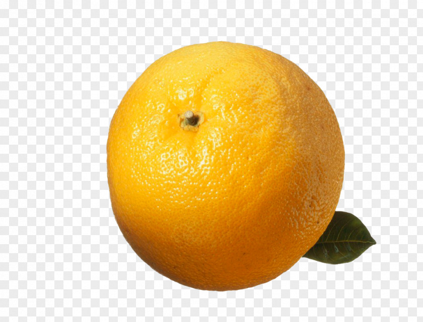 Orange Clementine Citrus Junos Mandarin Grapefruit Citron PNG
