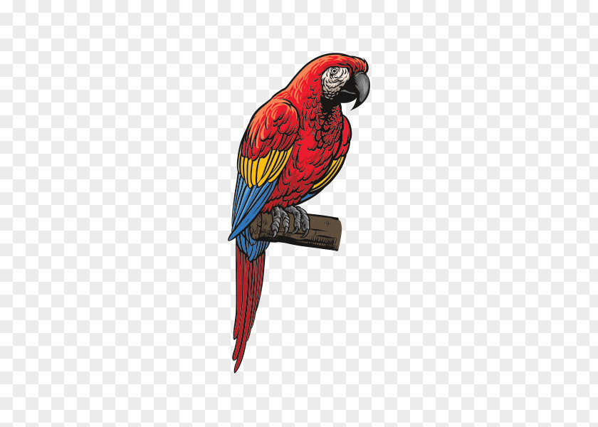 Parrot Blue-and-yellow Macaw Loriini Parakeet PNG