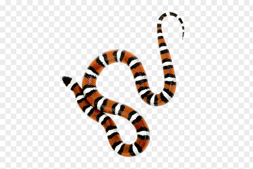 Snakes Milk Snake Reptile PNG