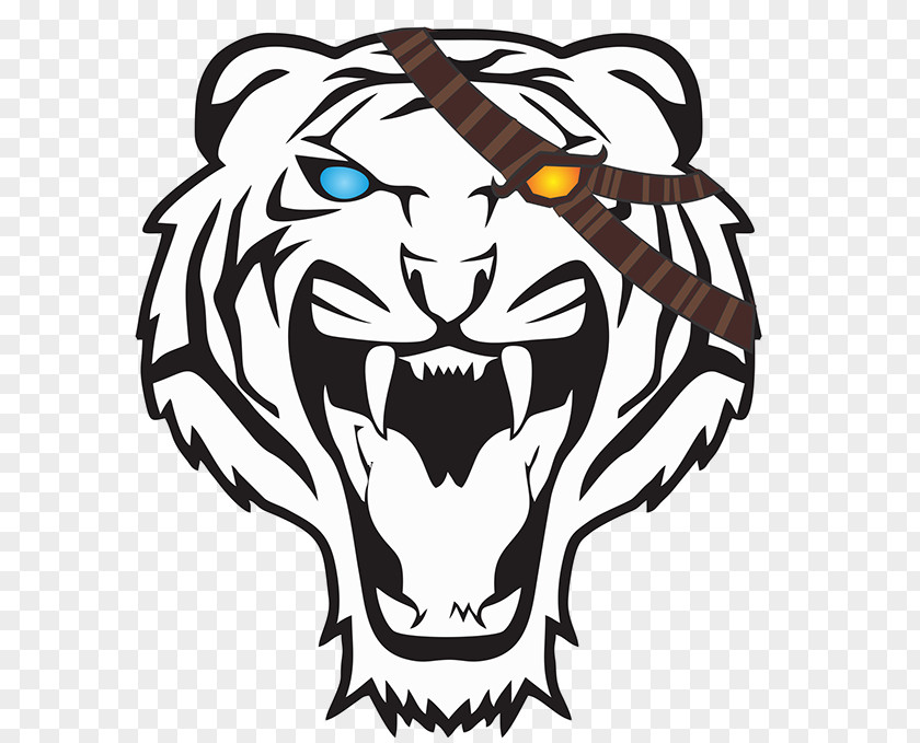 Tiger Drawing PNG