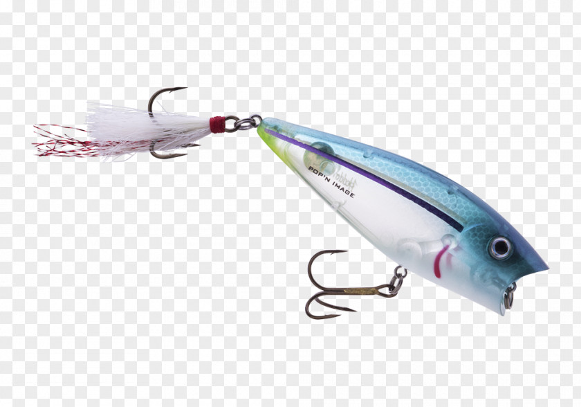 Fishing Heddon Baits & Lures Angling トップウォーター Topwater Lure PNG