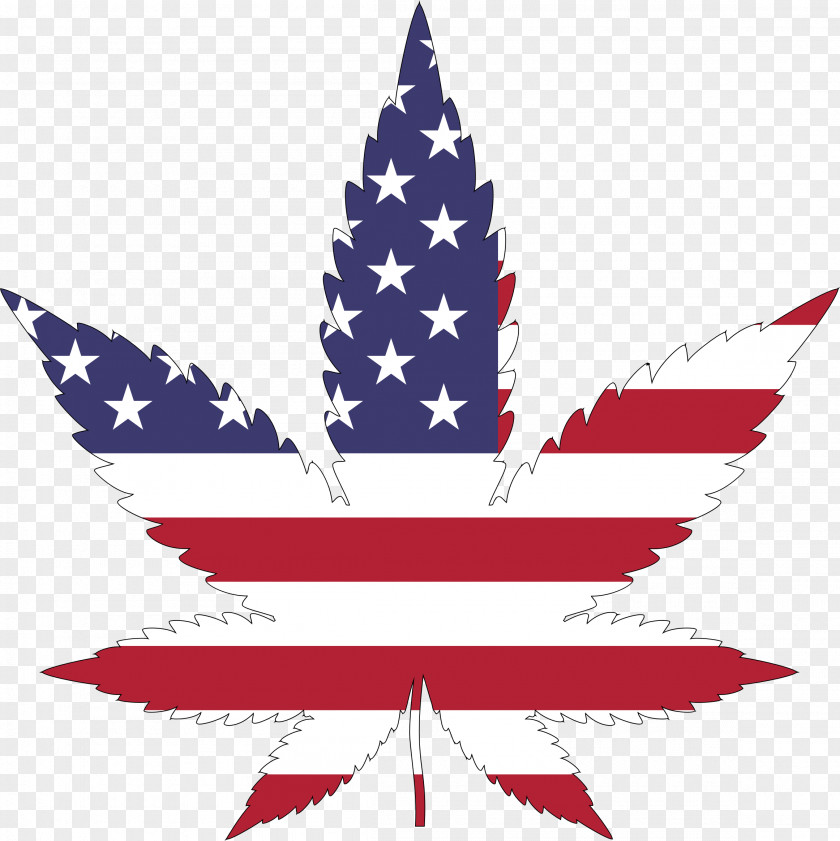 United States Flag Of The Cannabis Hemp Legalization PNG