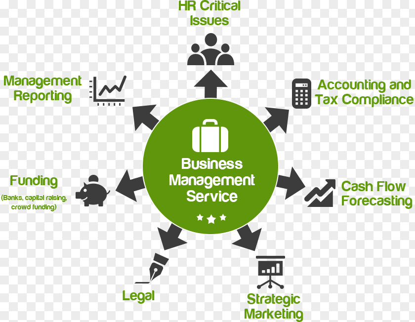 Usiness Administration And Management Business Service Accounting Outsourcing PNG
