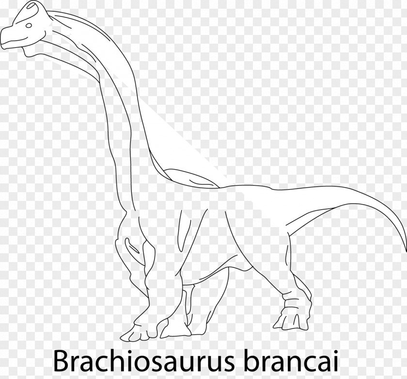 Velociraptor Line Art Animal Cartoon PNG