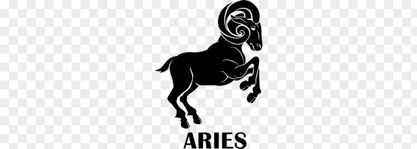 Aries PNG clipart PNG
