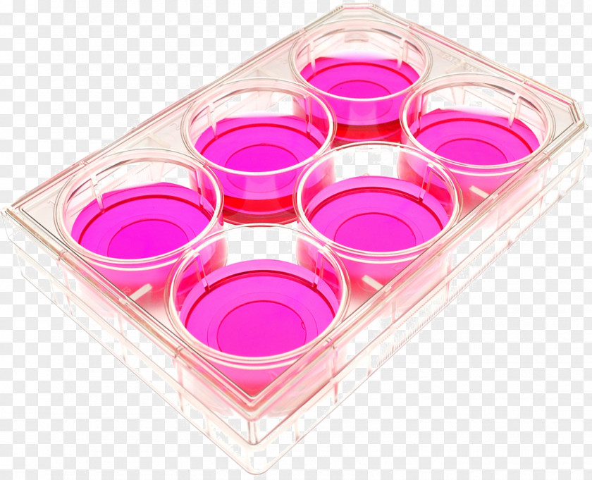 Cell Culture And Tissue Petri Dishes PNG