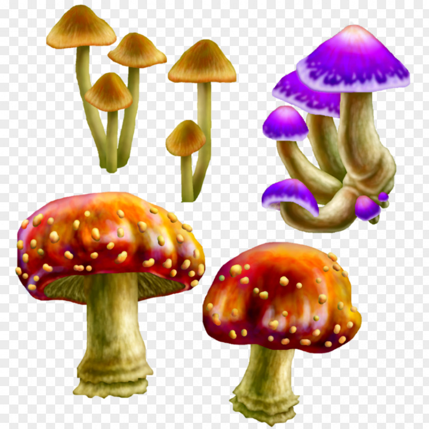 Fungi Edible Mushroom Fungus Mycelium Clip Art PNG