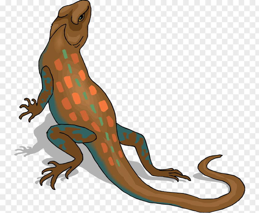Lizard Images Texas Horned Reptile Clip Art PNG