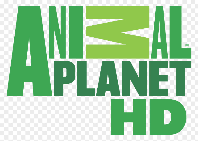 Logo Animal Planet Television Channel Boomerang PNG