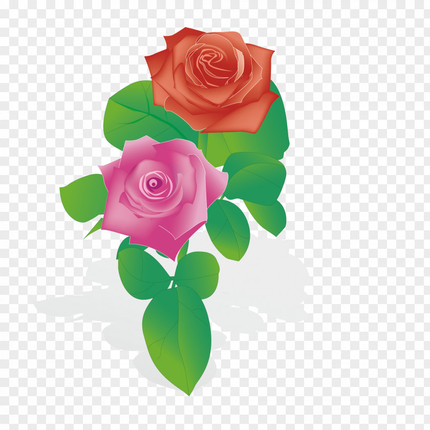 Rose Wind Drawing Flower PNG