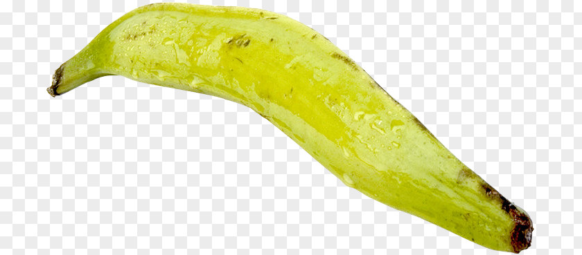 Vegetable Cooking Banana PNG