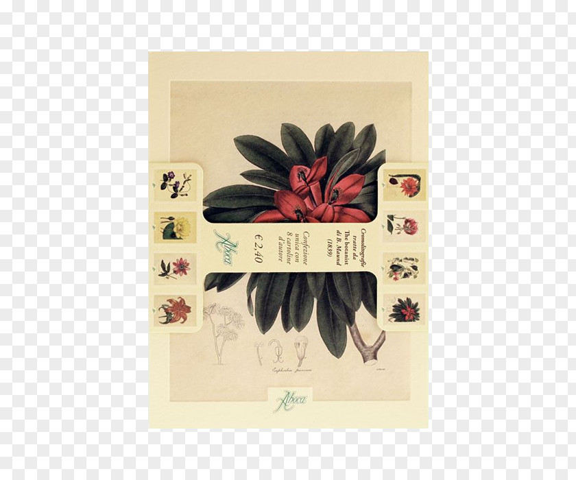 Benjamin Maund Aboca Museum Botany Botanist Flower Botanical Illustration PNG