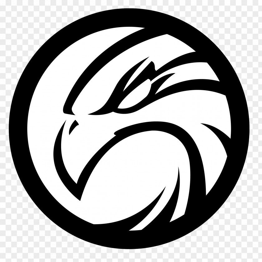 Bird Logo Hawk PNG