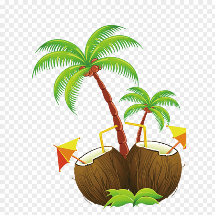 Coconut Hawaii Island Clip Art PNG