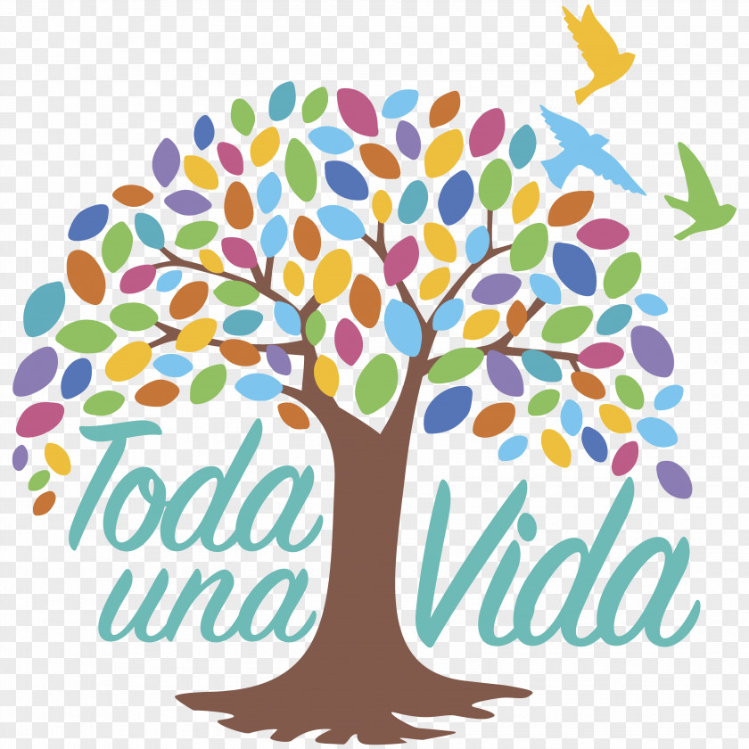 Creative Vision Ecuador 0 Toda Una Vida Life Education PNG