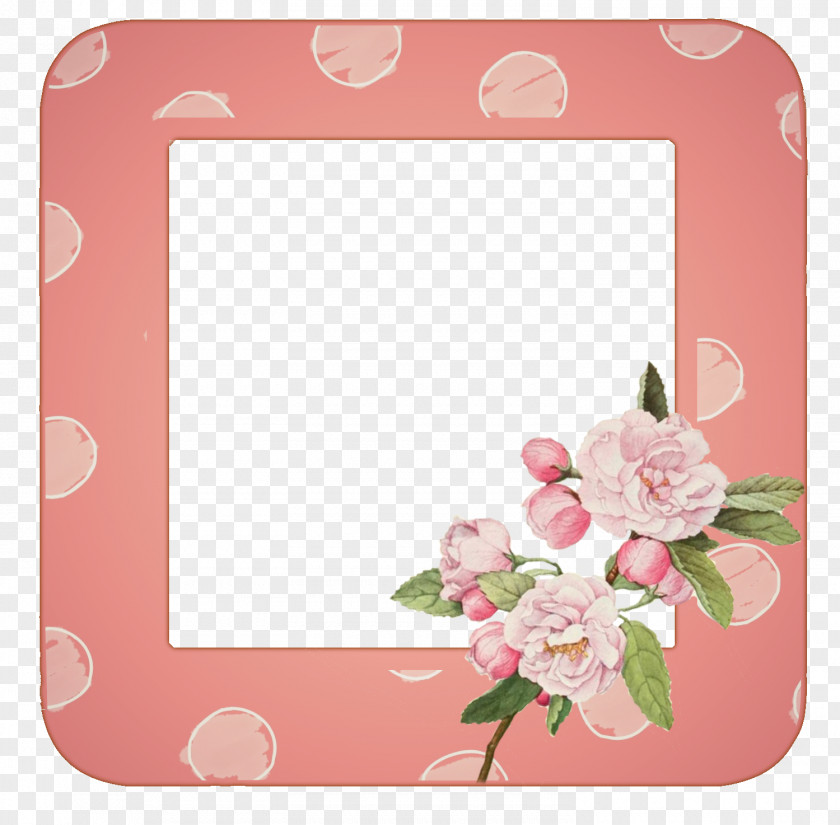 Design Garden Roses Floral Picture Frames PNG