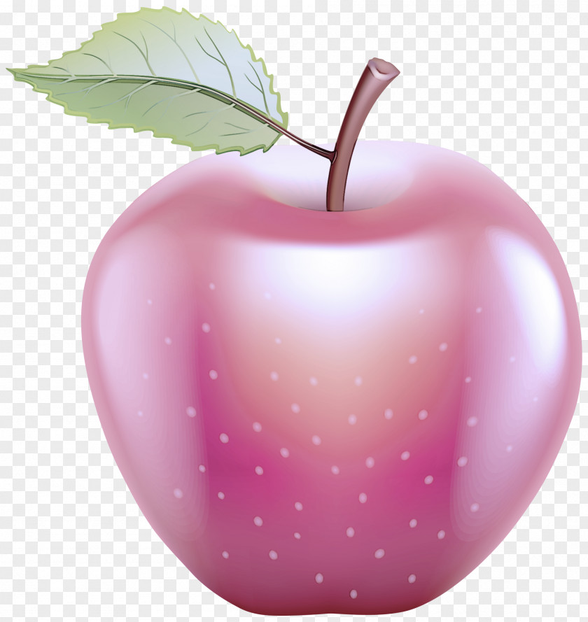 Fruit Leaf Apple Plant Pink PNG