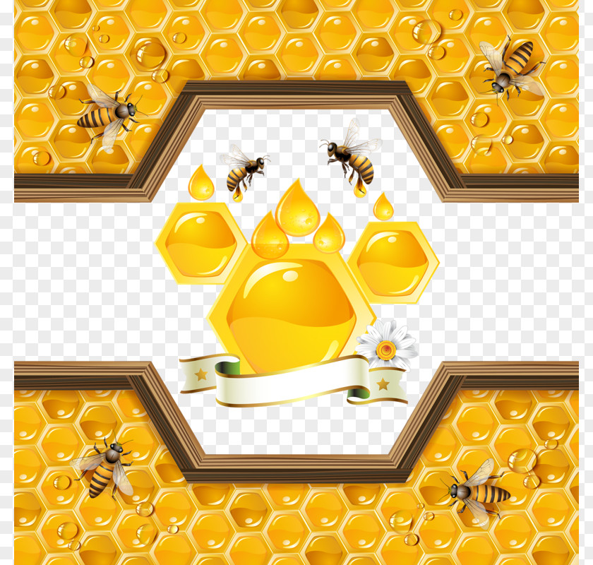 Golden Honey Bee Honeycomb Illustration PNG