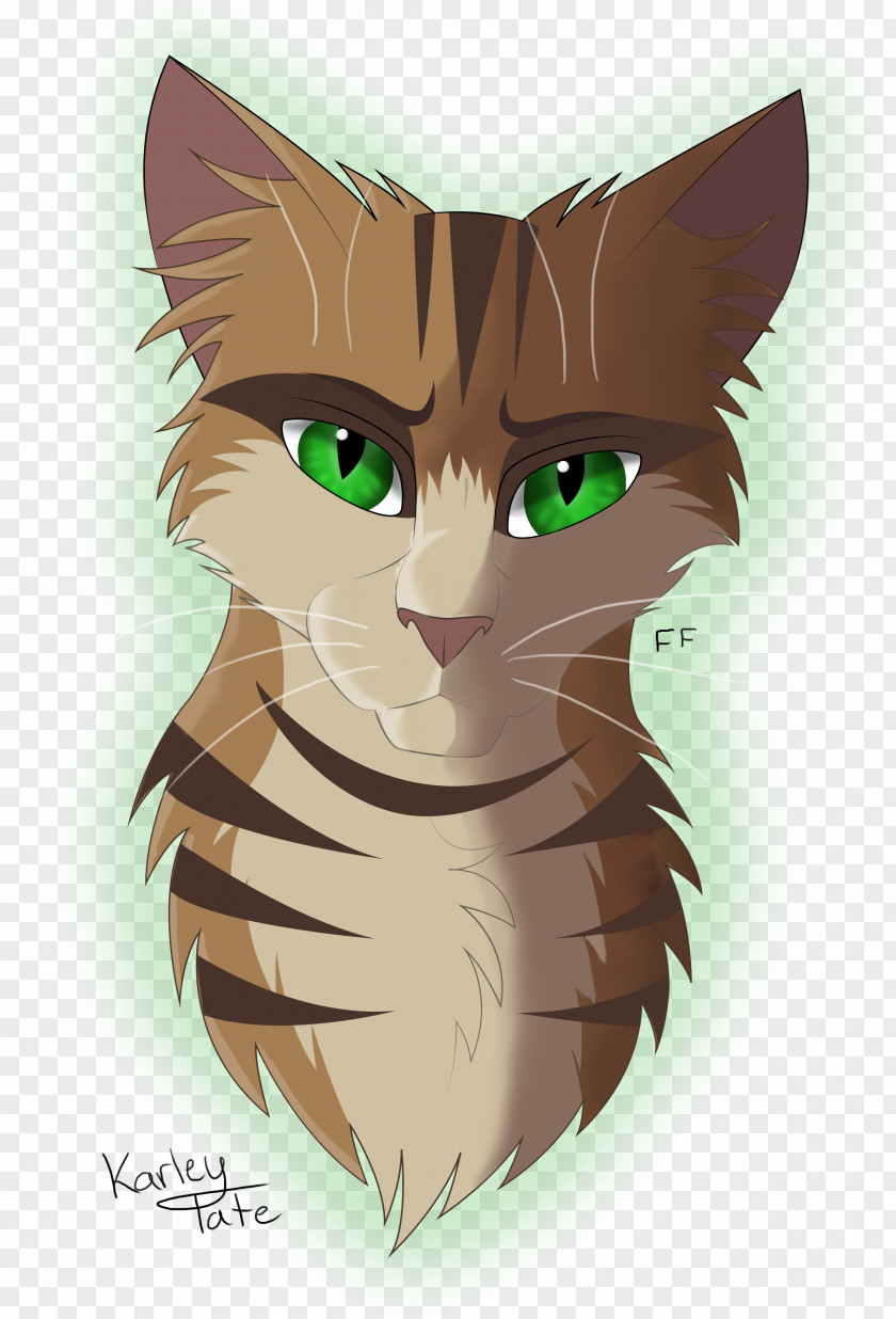 Kitten Whiskers Tabby Cat Domestic Short-haired PNG