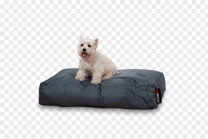 Pillow West Highland White Terrier Puppy Bed Mattress PNG