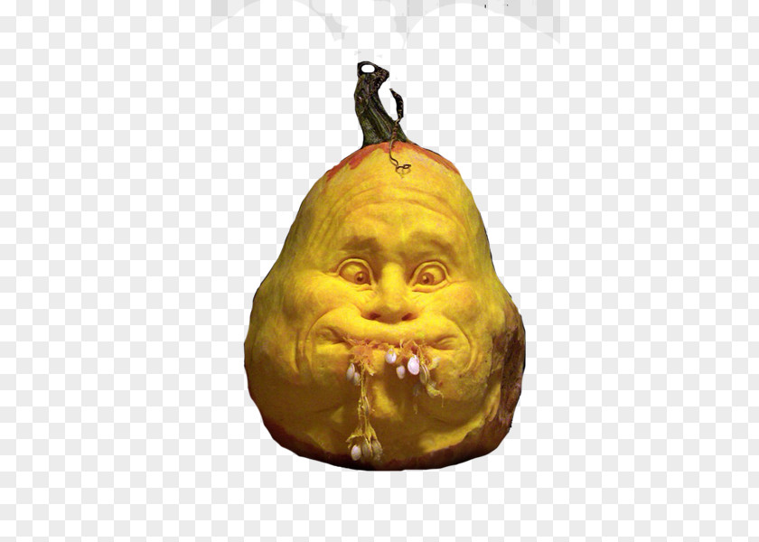 Pumpkin Carving Ideas Ray Villafane Jack-o-lantern Halloween PNG