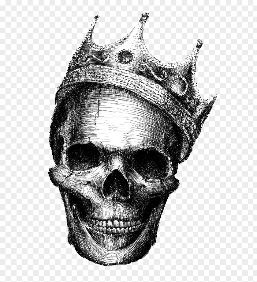 Skull Human Symbolism Drawing Crown Skeleton PNG