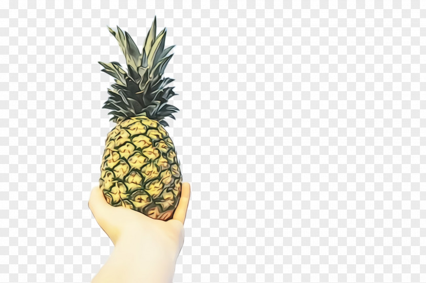 Vegan Nutrition Food Pineapple PNG