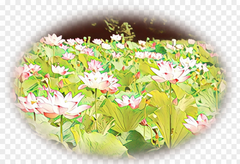Cuisine Food Floral Flower Background PNG