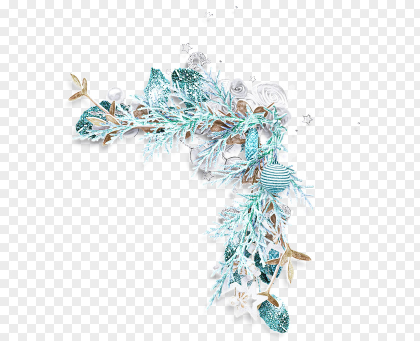 Feather PNG