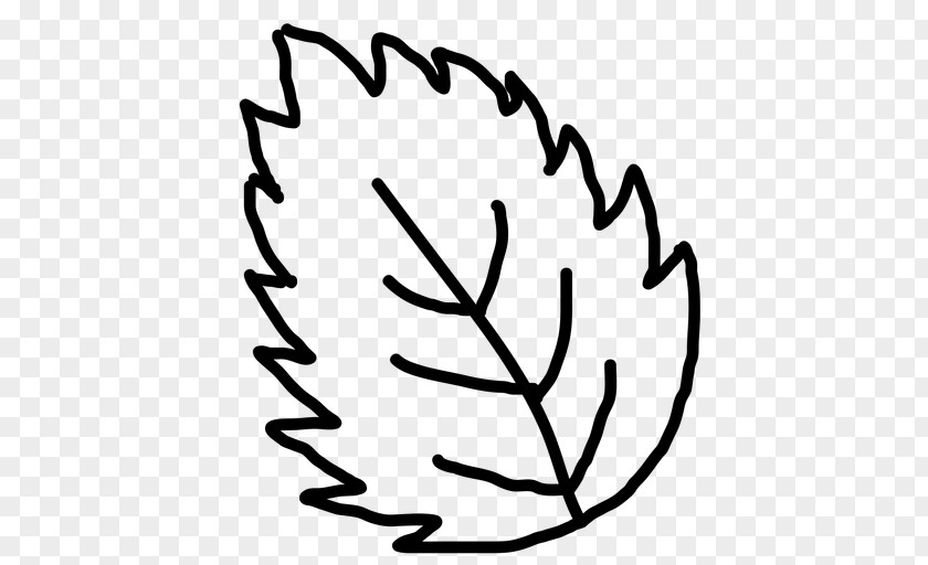 Leaf Drawing Clip Art PNG