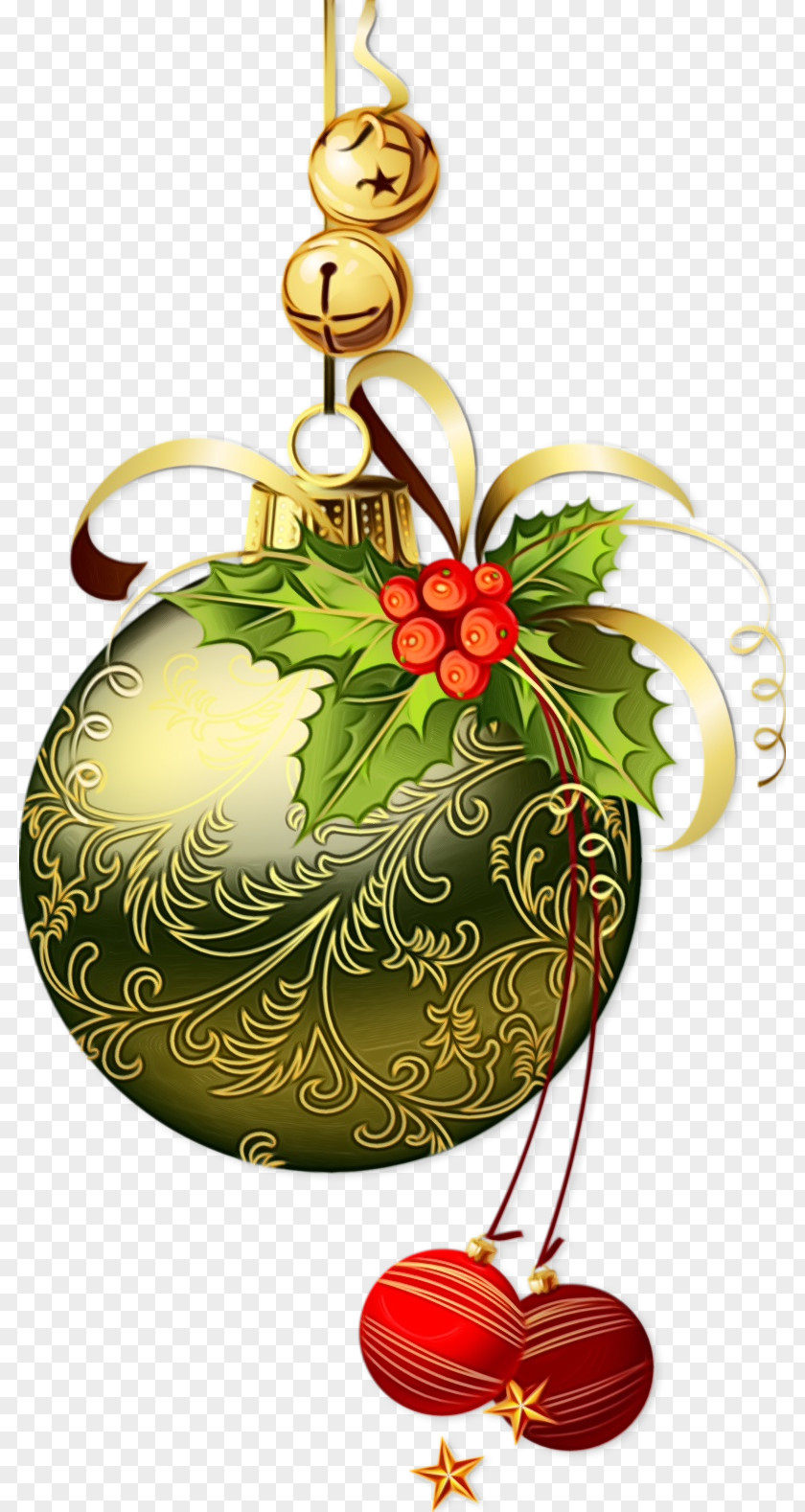 Plant Holly Christmas PNG