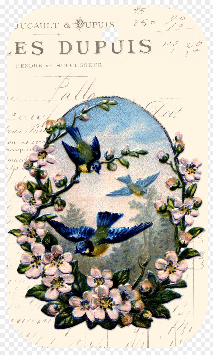 Bird Flower Paper Floral Design PNG