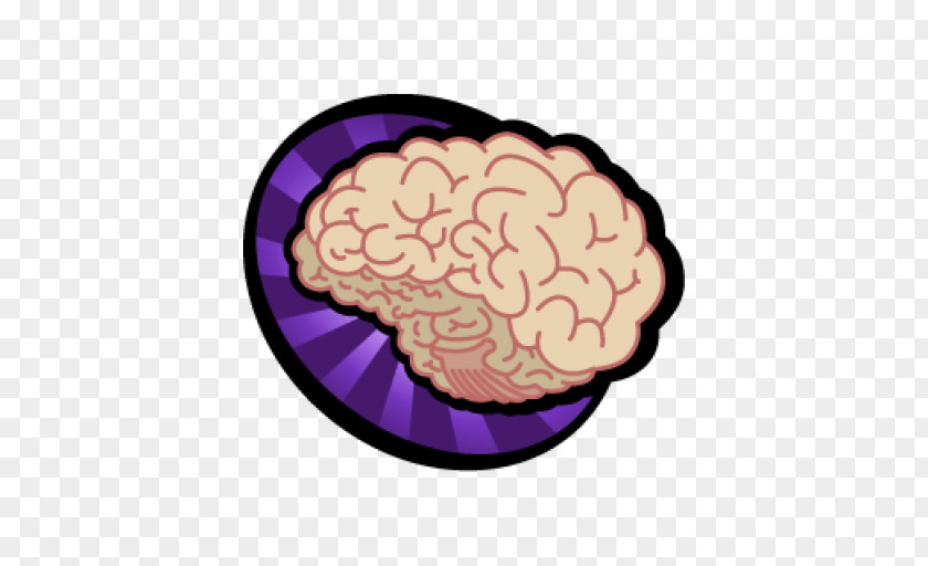 Brain Image Vector Graphics PNG