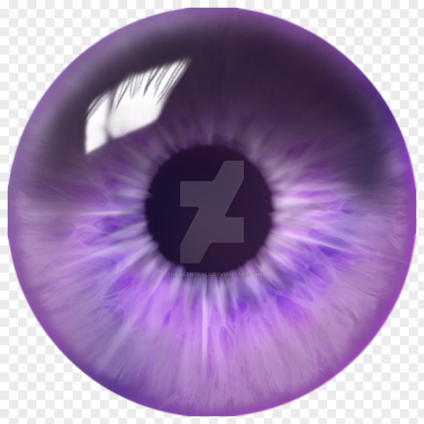 Eyeball Iris Eye Quill Violet PNG