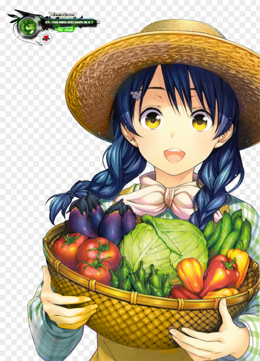 Farmer Food Wars!, Vol. 3: Shokugeki No Soma 1: Wars!: 2: PNG