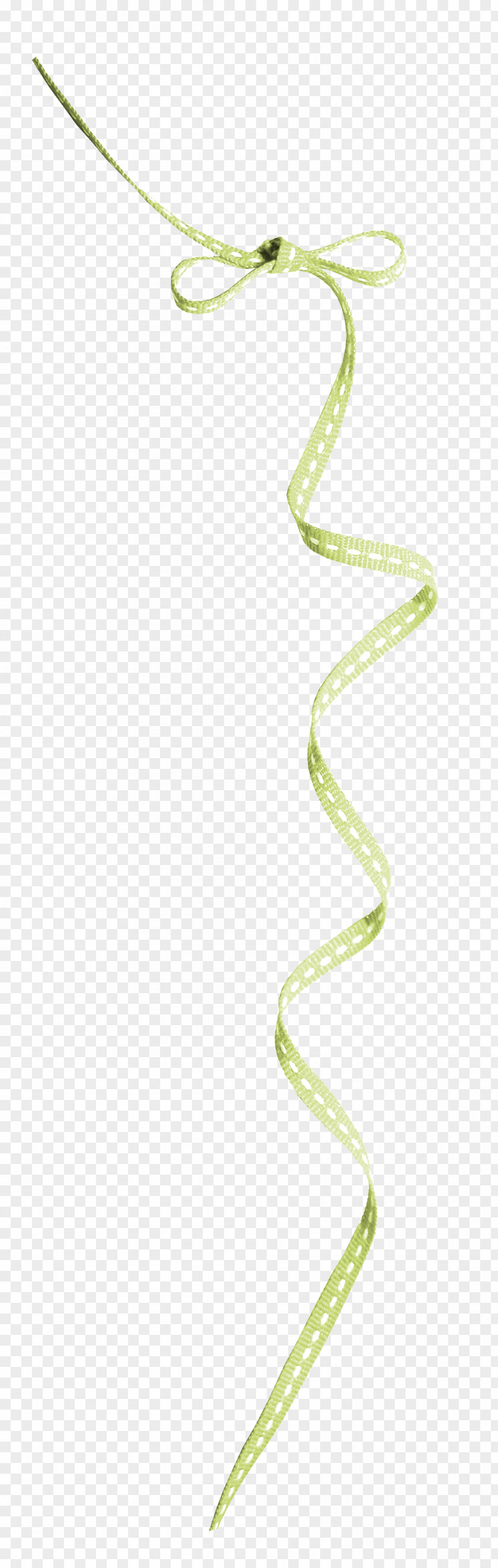 Rope Editing PNG