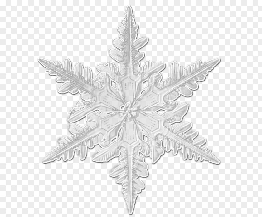 Snowflake Christmas Day Ornament White PNG