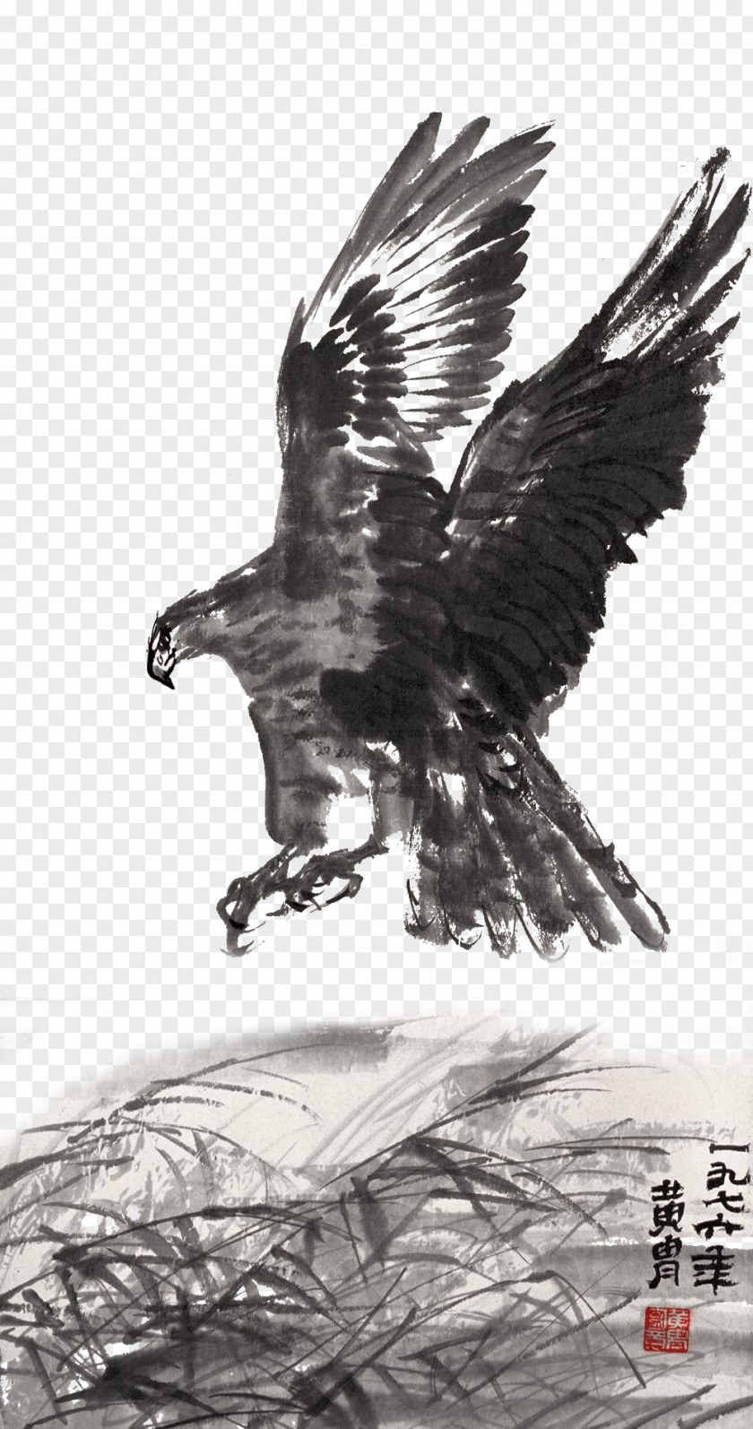 Traditional Ink Jet Eagle Digging Material Wash Painting Hawk Brush PNG