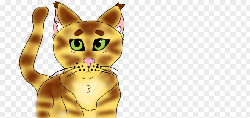 Bengal Cat Whiskers Snout Cartoon PNG