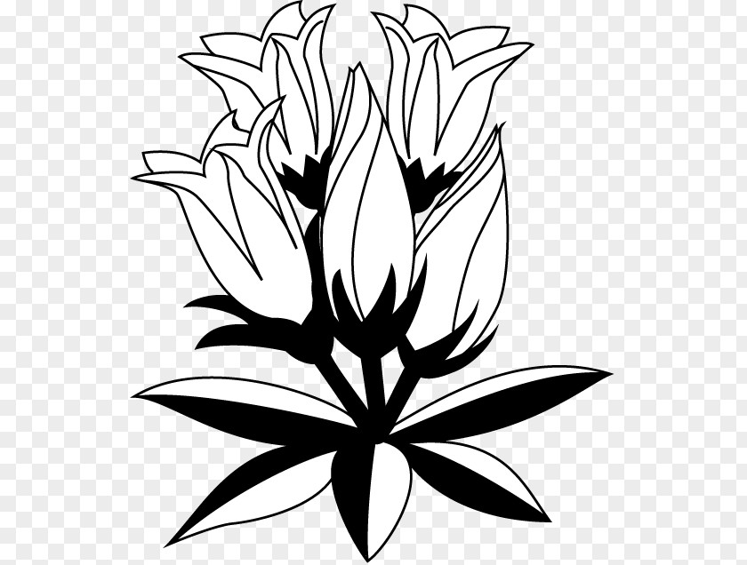 Flower Gentiana Scabra Floral Design Drawing Clip Art PNG