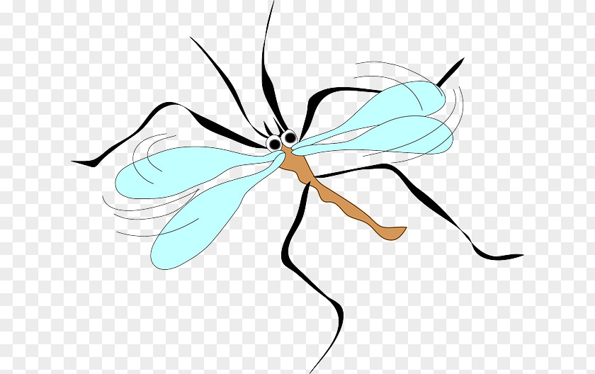 Mosquito Clip Art PNG
