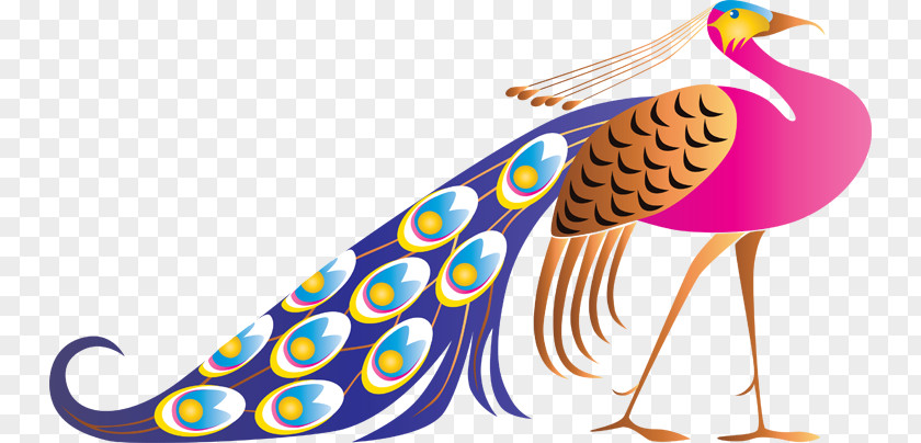 Peacock Cartoon Pavo Feather Bird Clip Art PNG